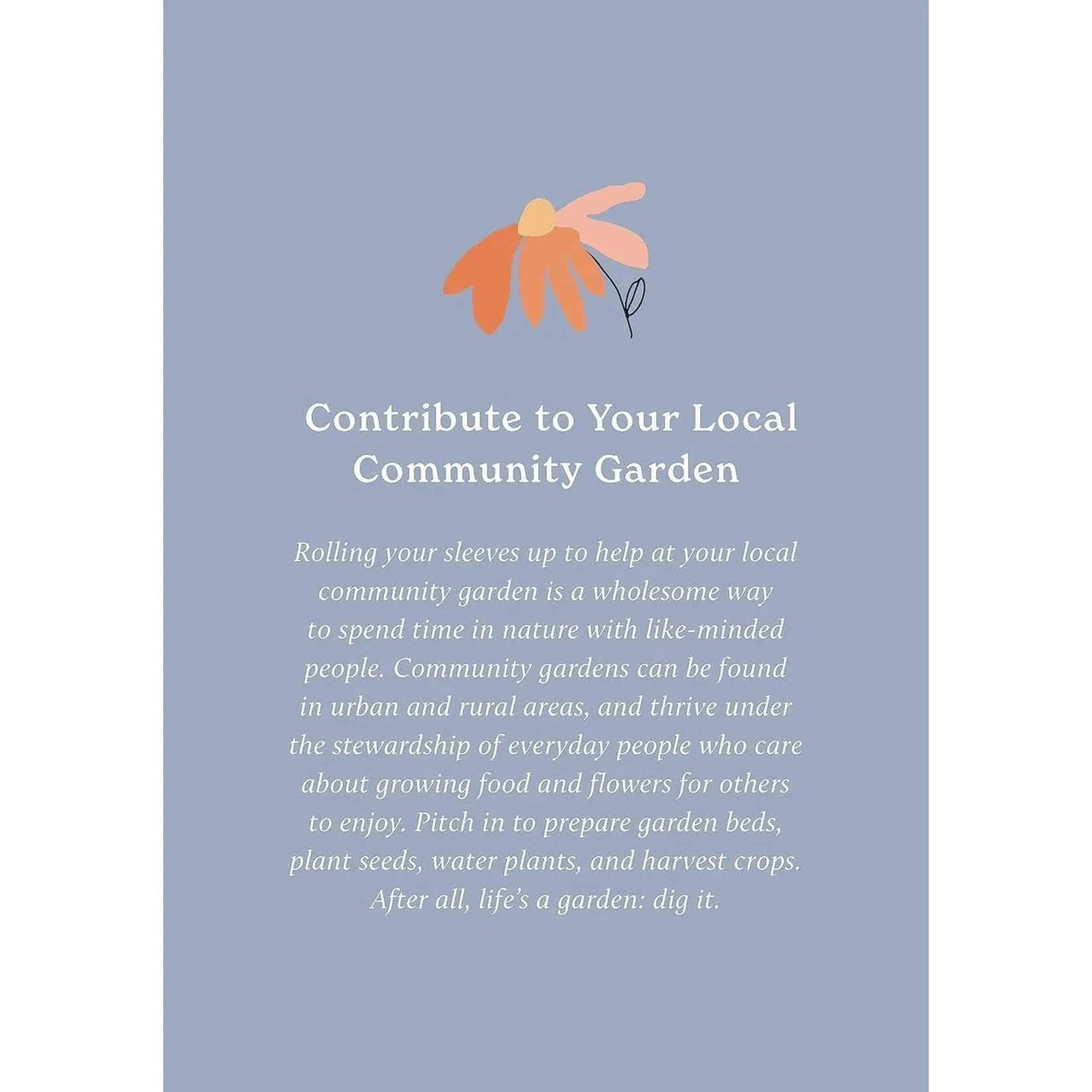 100 Ways To Reconnect W Nature