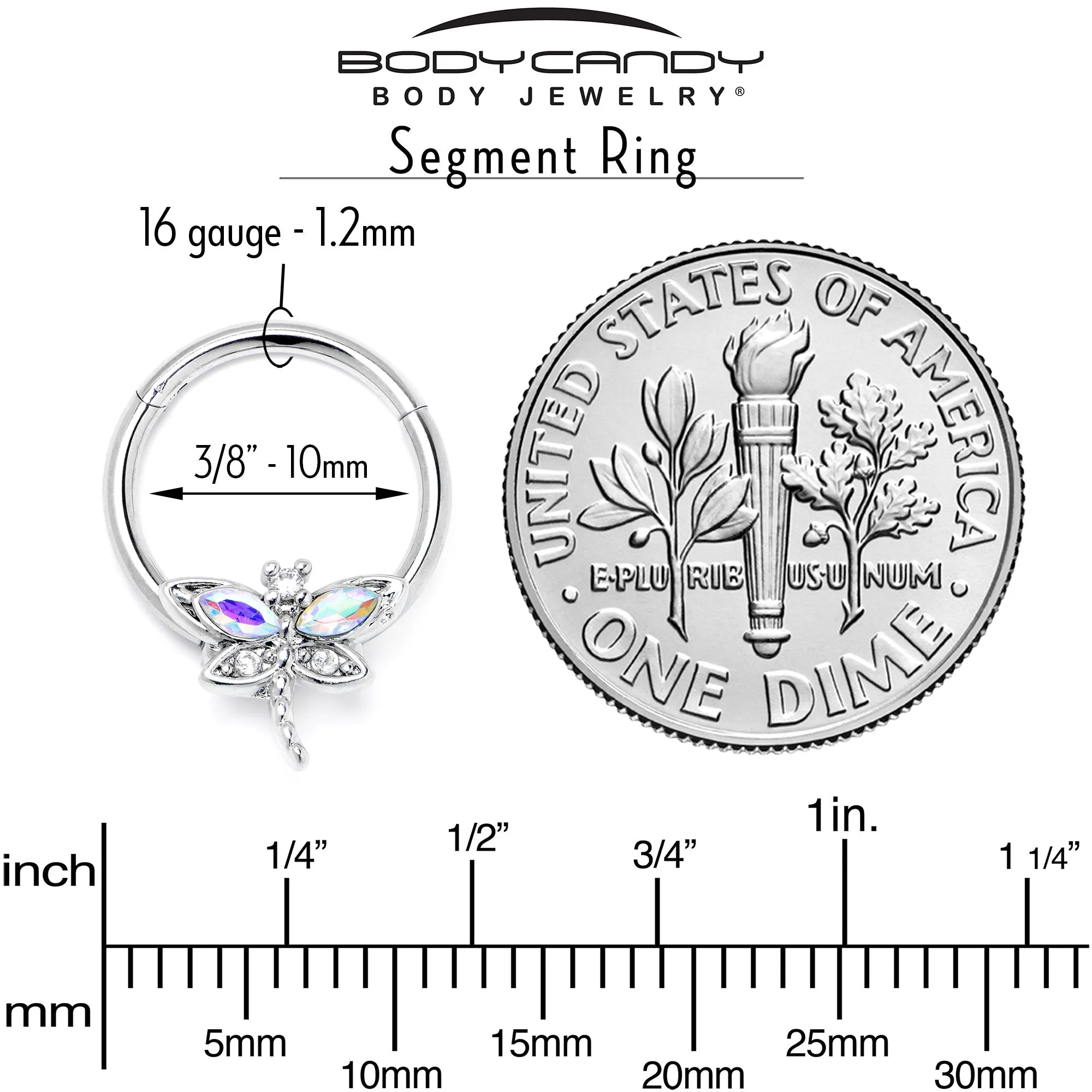 16 Gauge 3/8 Aurora CZ Gem Understated Dragonfly Hinged Segment Ring