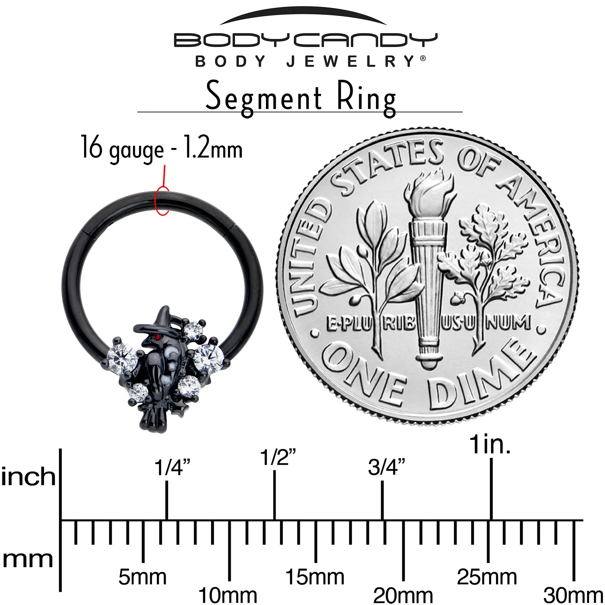 16 Gauge 3/8 Clear CZ Gem Black Raven Witch Hinged Segment Ring