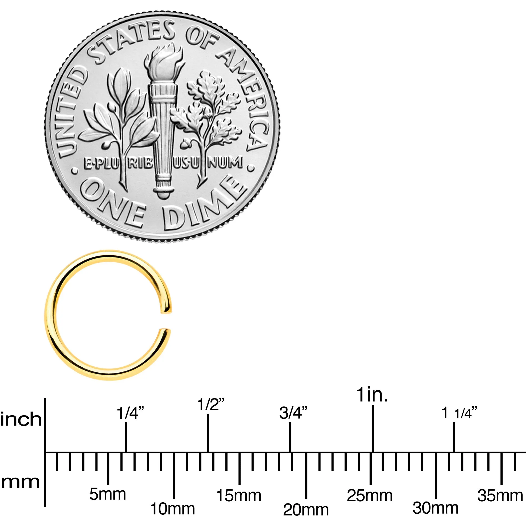 18 Gauge 5/16 Gold Tone Rose Gold Tone Anodized Seamless Circular Ring Set of 12