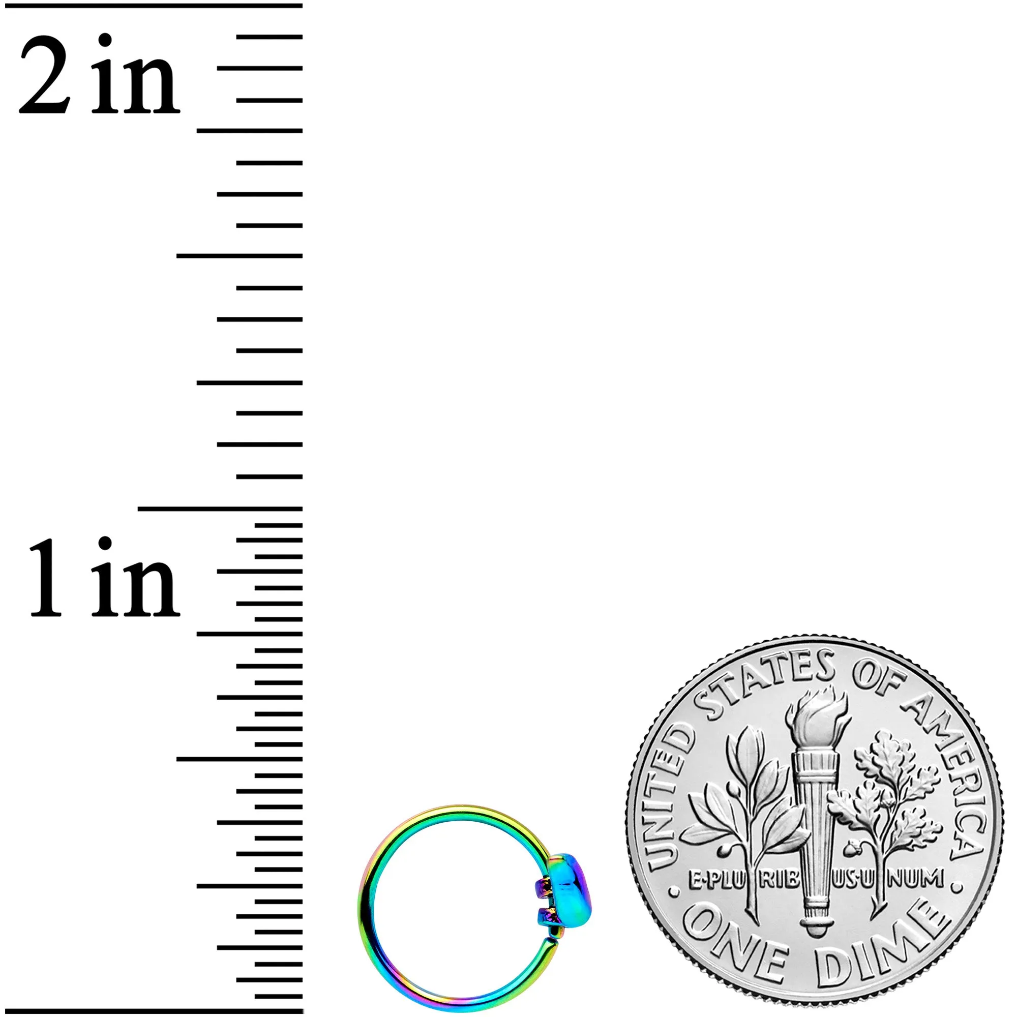 20 Gauge 5/16 Rainbow Bird Nose Hoop