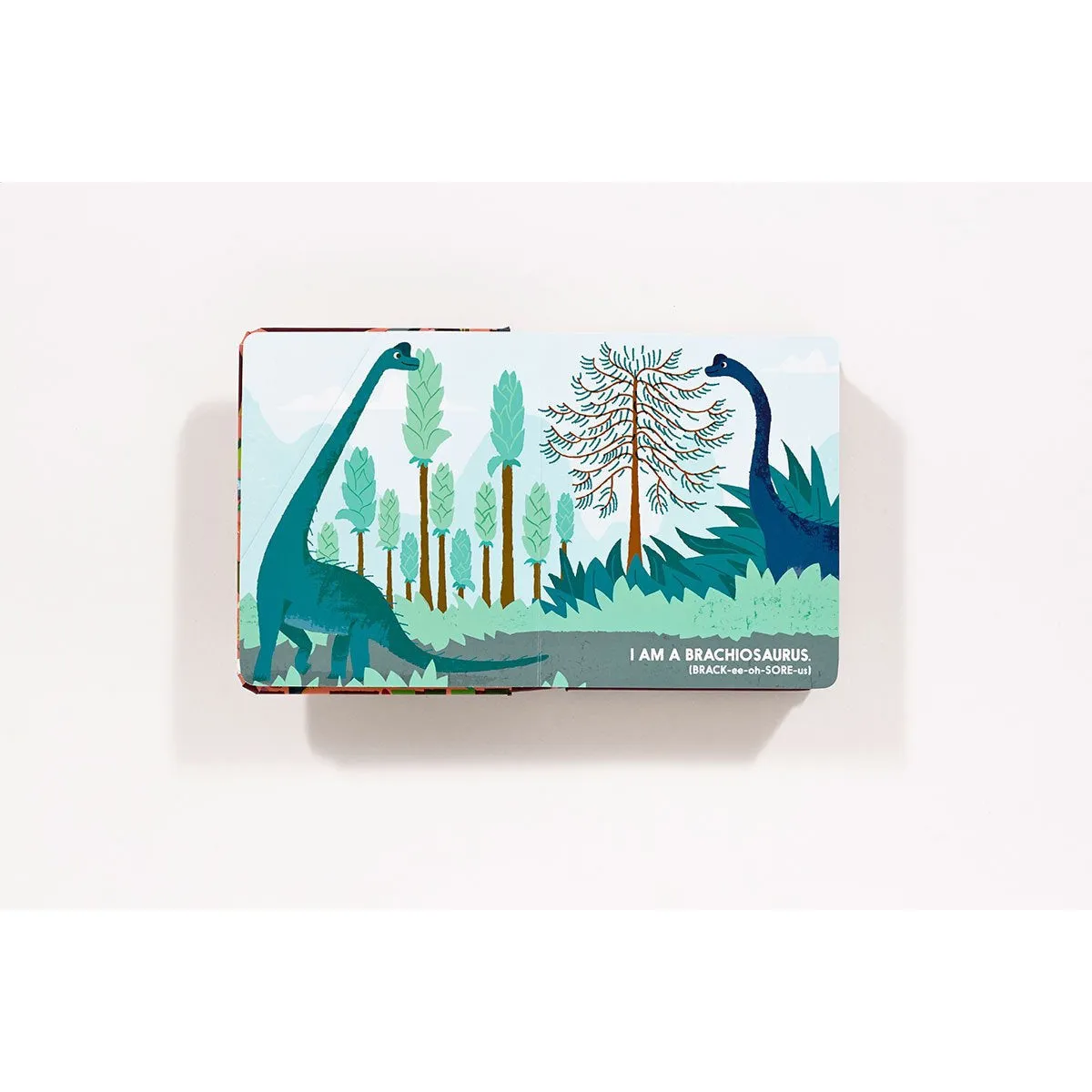 Abrams Books: Dinoblock (An Abrams Block Board Book)