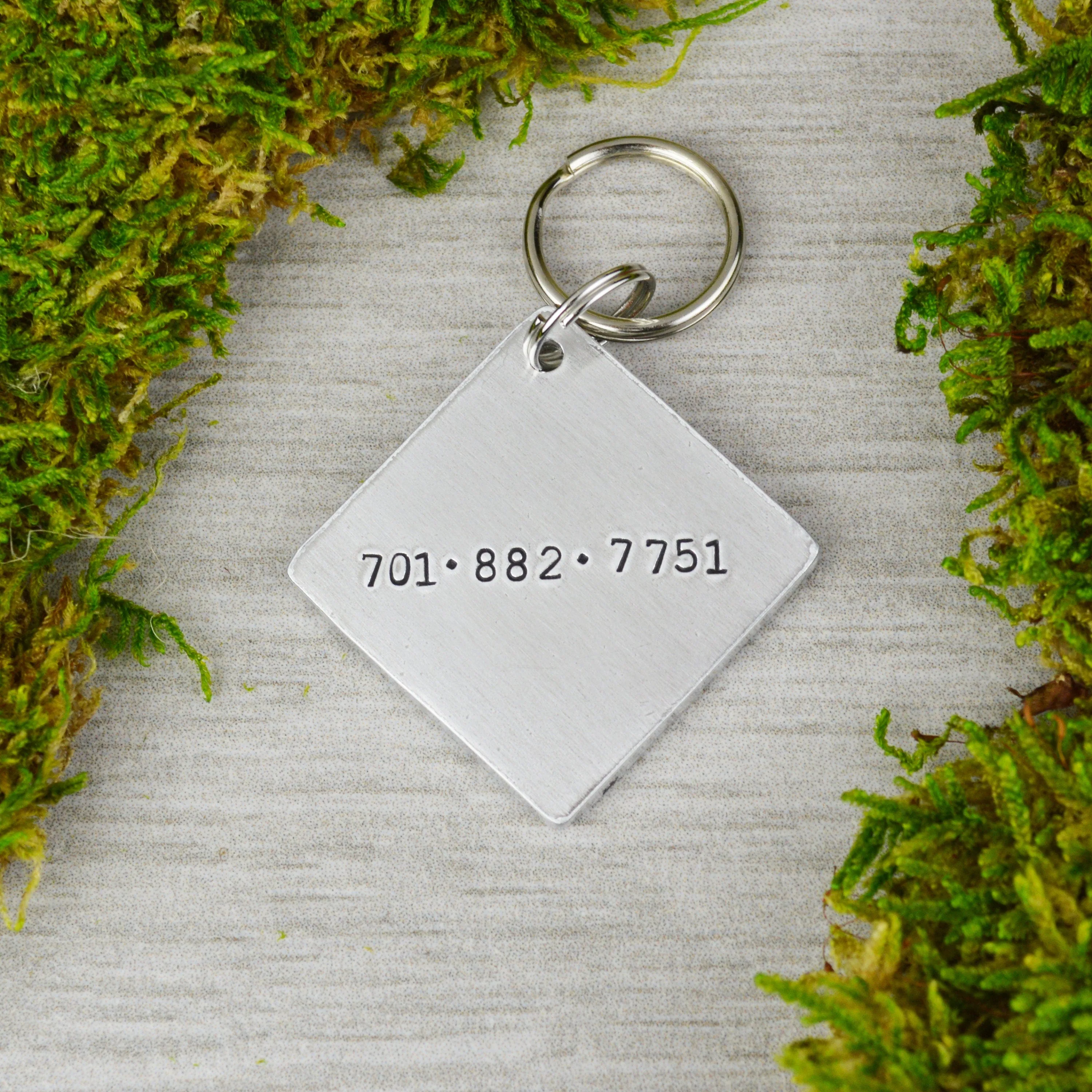 Alpine Meadow Pet ID Tag