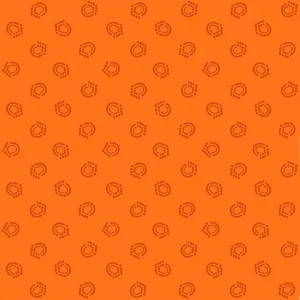 Bear Essentials Orange - (2)