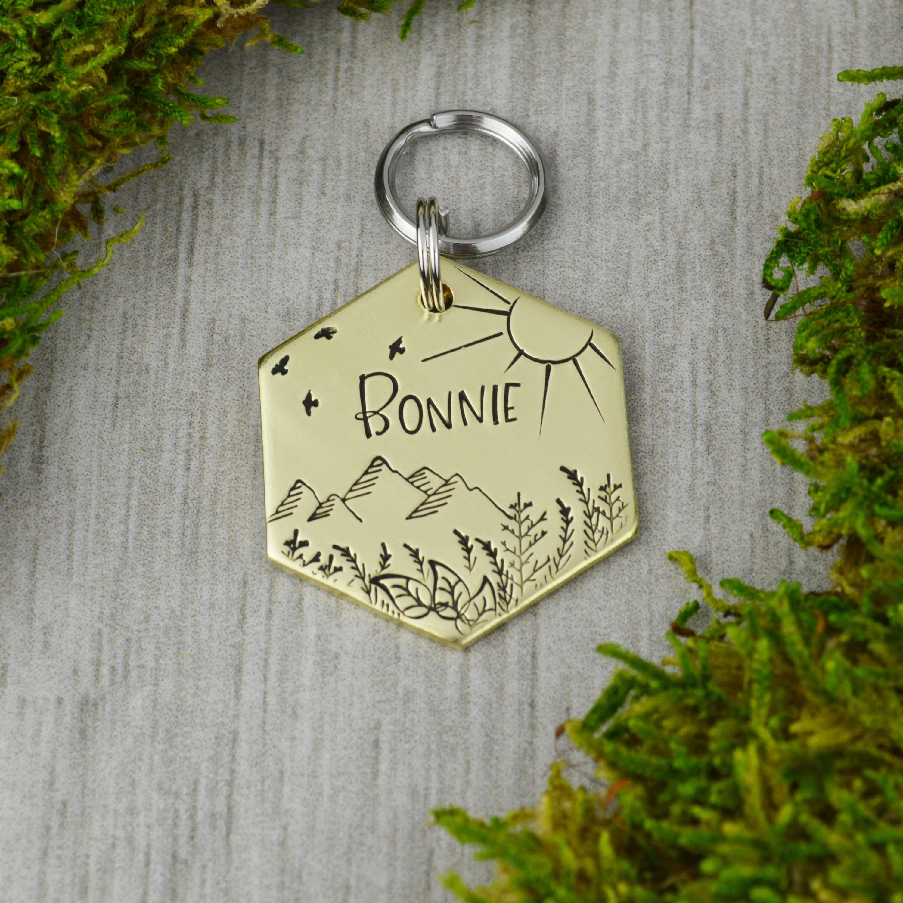 Bonnie Knoll Pet ID Tag