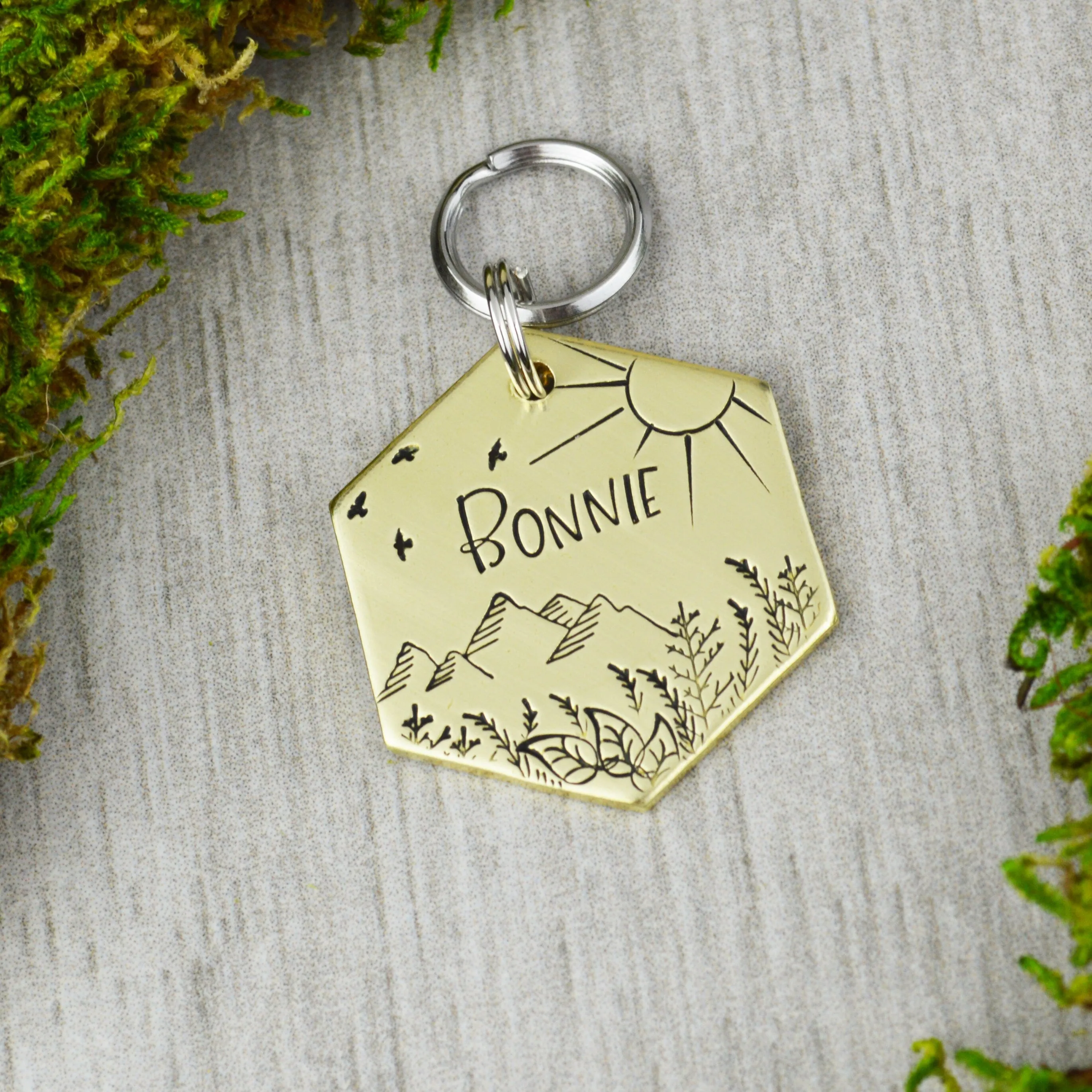 Bonnie Knoll Pet ID Tag