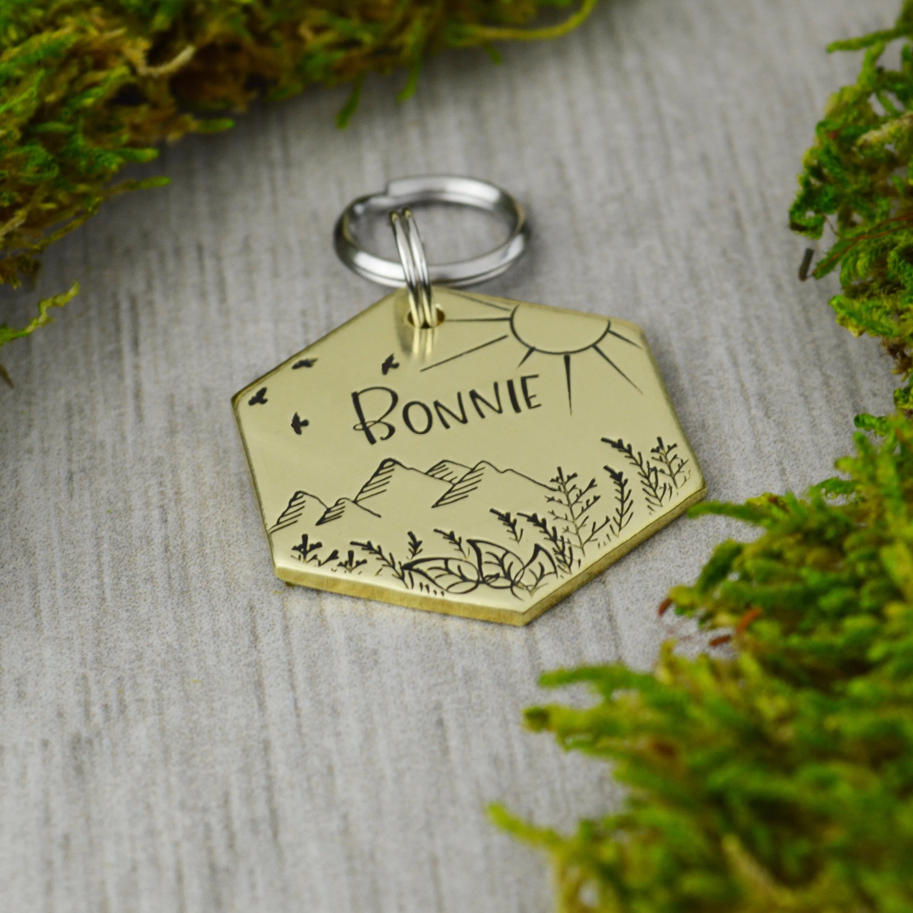 Bonnie Knoll Pet ID Tag