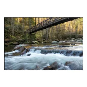 Bridge to Autumn II