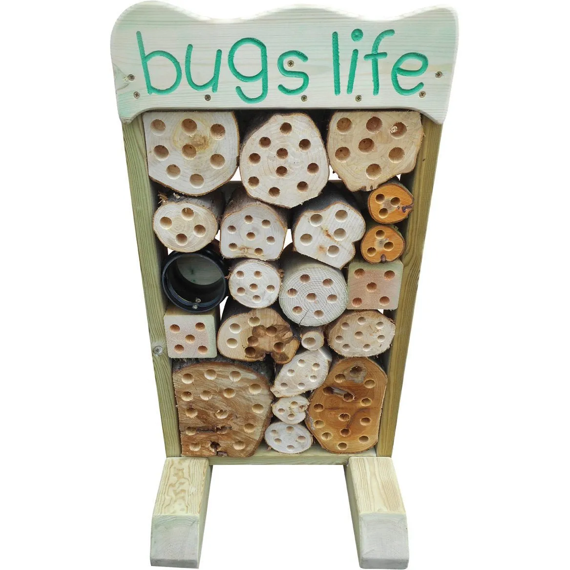 Bugs Life