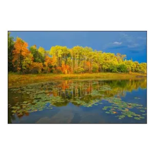Canada-Ontario-Kenora District Forest Autumn Colors Reflect on Middle Lake