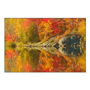 Canada-Ontario-Simon Lake Park Conservation Area Forest and Rock Reflected in Simon Lake