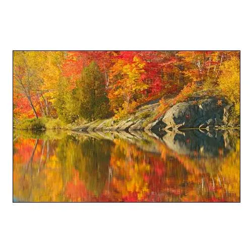 Canada-Ontario-Simon Lake Park Conservation Area Forest and Rock Reflected in Simon Lake