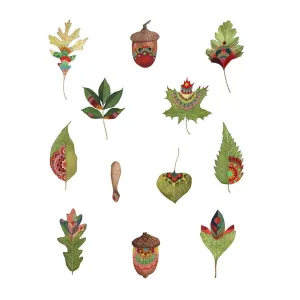 Collector: Forest Series 11x14 Print