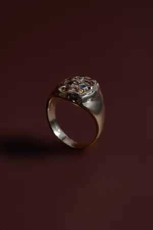 Cuatro Elementos Ring