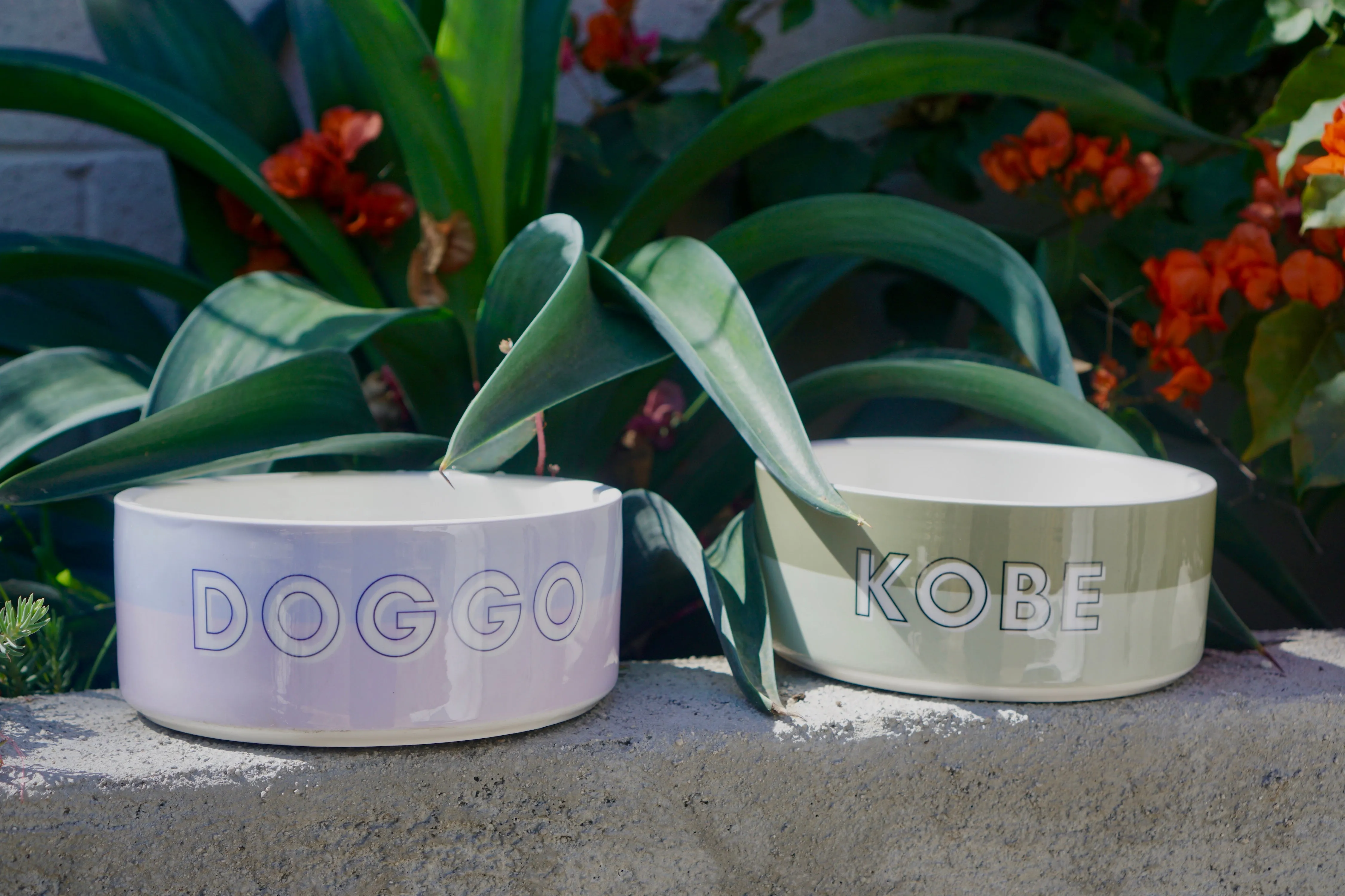 Custom Color Duo Dog Bowl