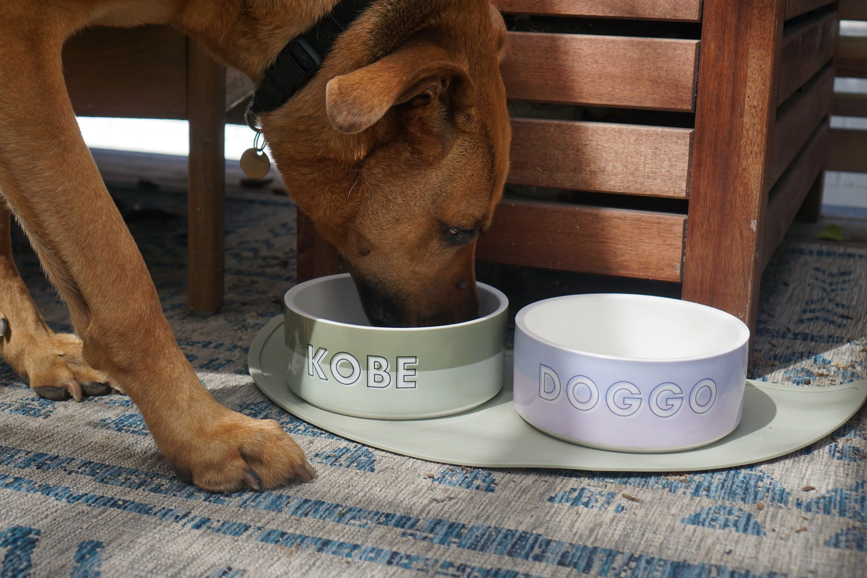Custom Color Duo Dog Bowl