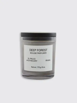 Deep Forest Scented Candle