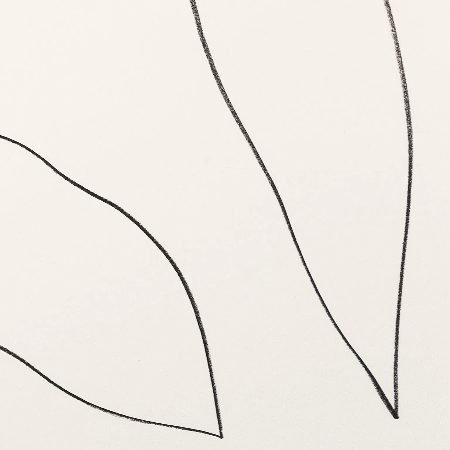 ELLSWORTH KELLY "LEAVES (FEUILLES)" LITHOGRAPH, 1964