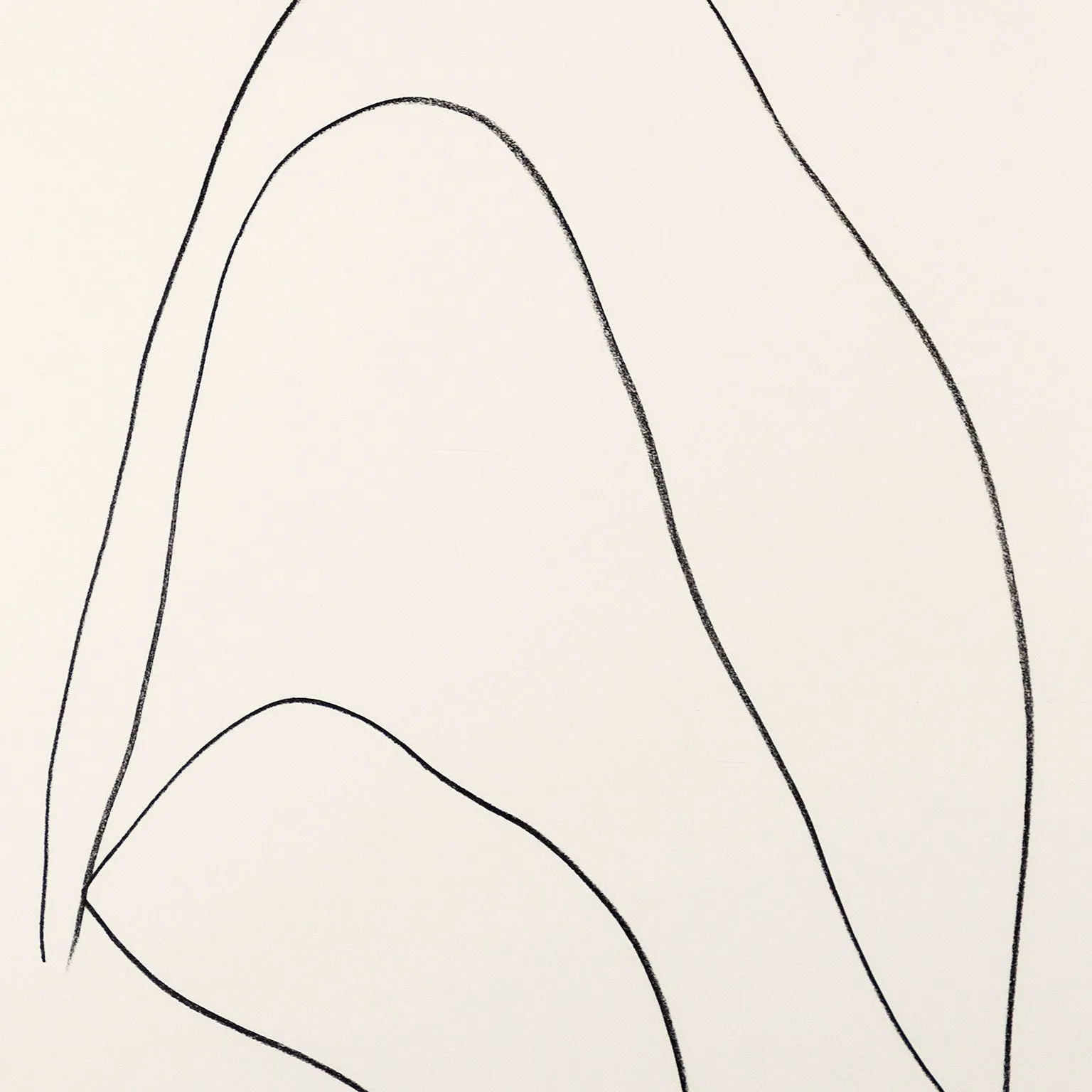 ELLSWORTH KELLY "LEAVES (FEUILLES)" LITHOGRAPH, 1964