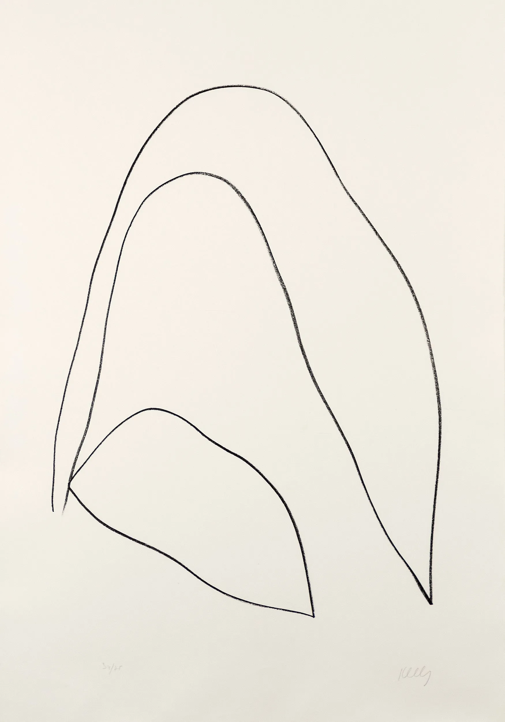 ELLSWORTH KELLY "LEAVES (FEUILLES)" LITHOGRAPH, 1964