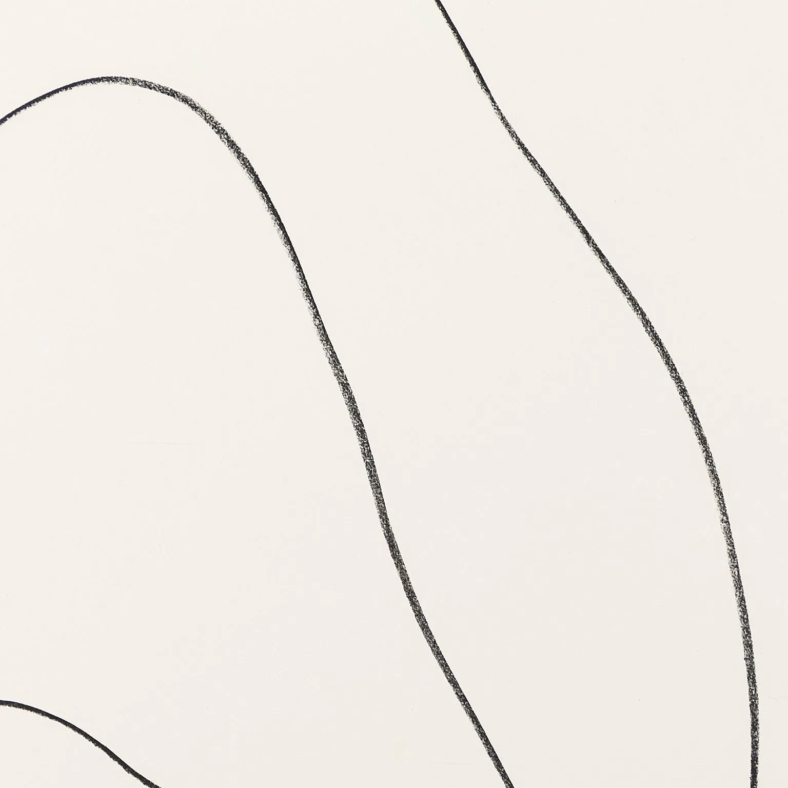 ELLSWORTH KELLY "LEAVES (FEUILLES)" LITHOGRAPH, 1964