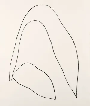 ELLSWORTH KELLY "LEAVES (FEUILLES)" LITHOGRAPH, 1964