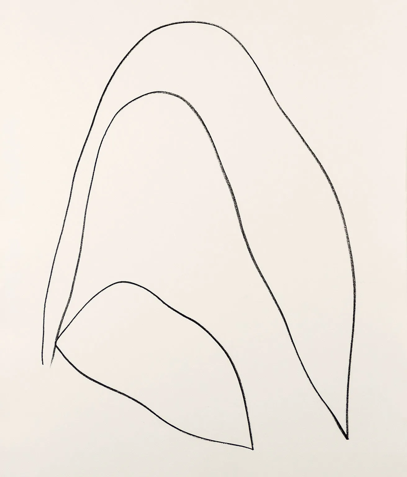 ELLSWORTH KELLY "LEAVES (FEUILLES)" LITHOGRAPH, 1964