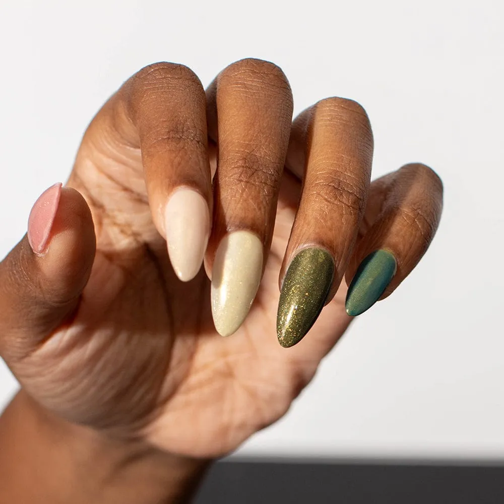 Enchanted Forest | Tonal Set