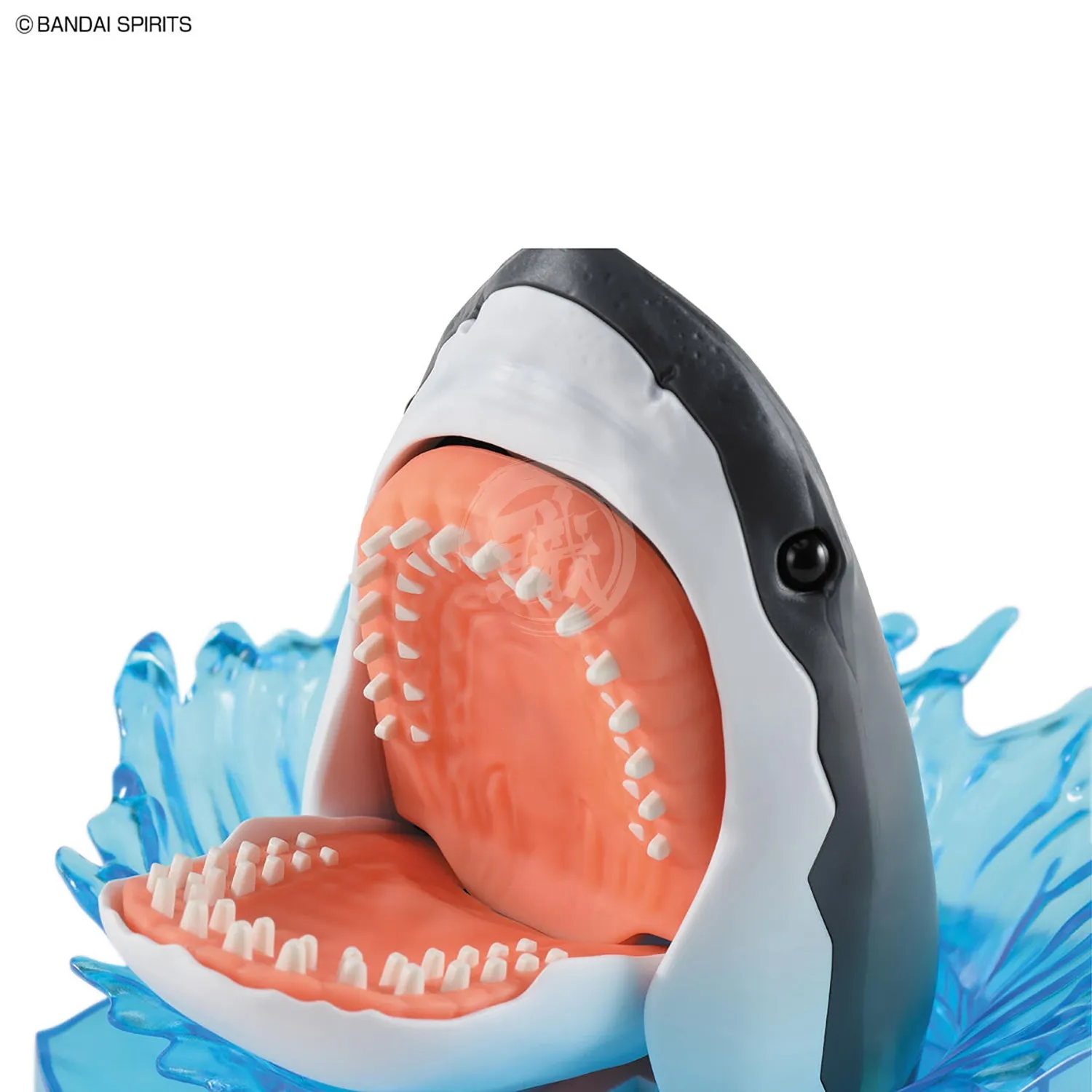 Exploring Lab Nature Great White Shark