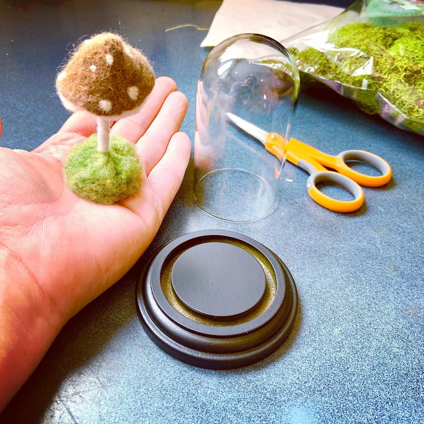 Forest Floor Terrarium Cloche