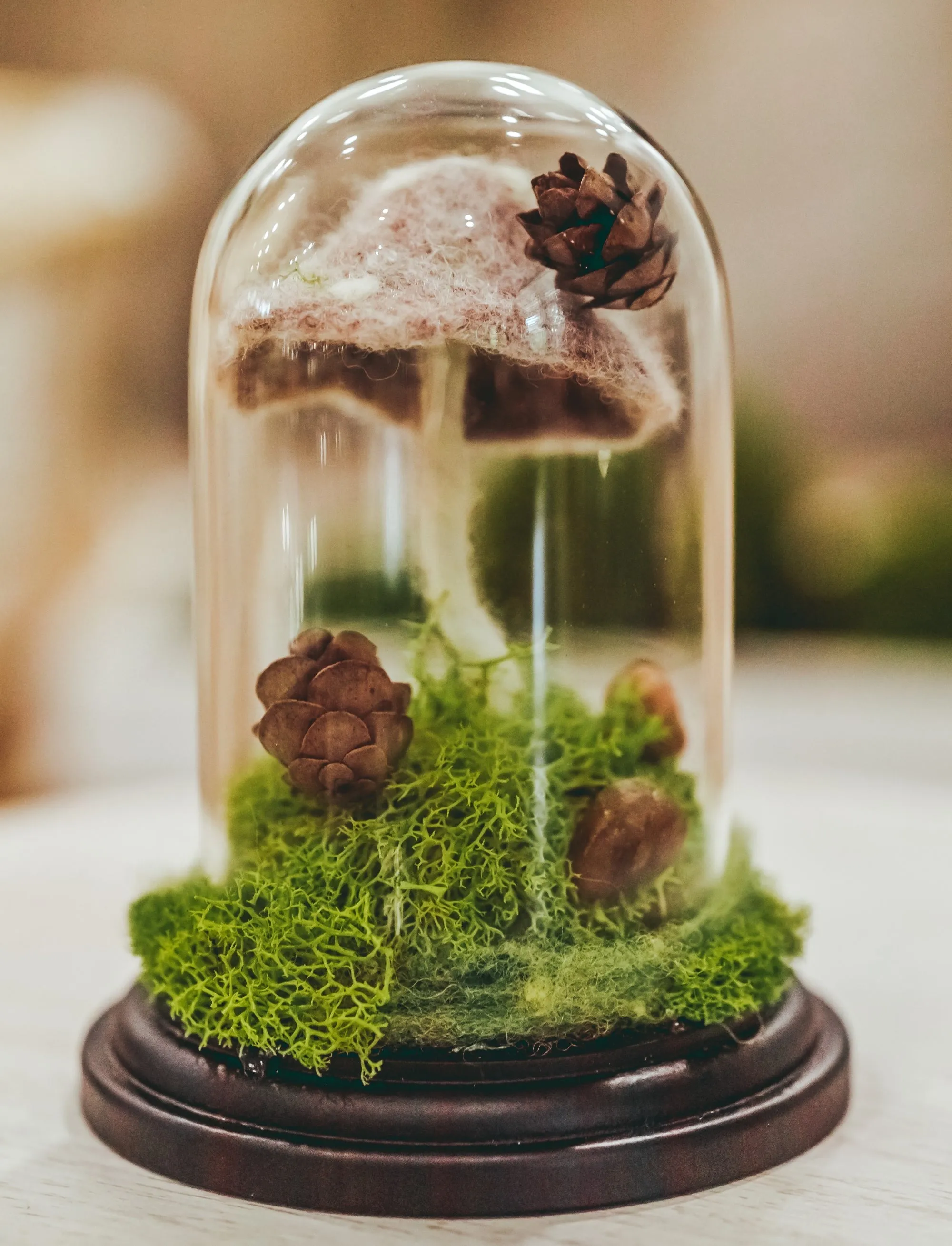 Forest Floor Terrarium Cloche