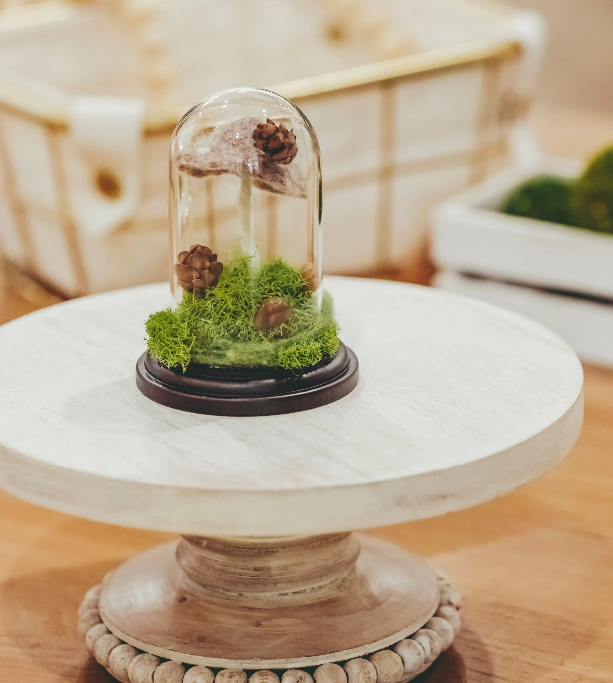 Forest Floor Terrarium Cloche