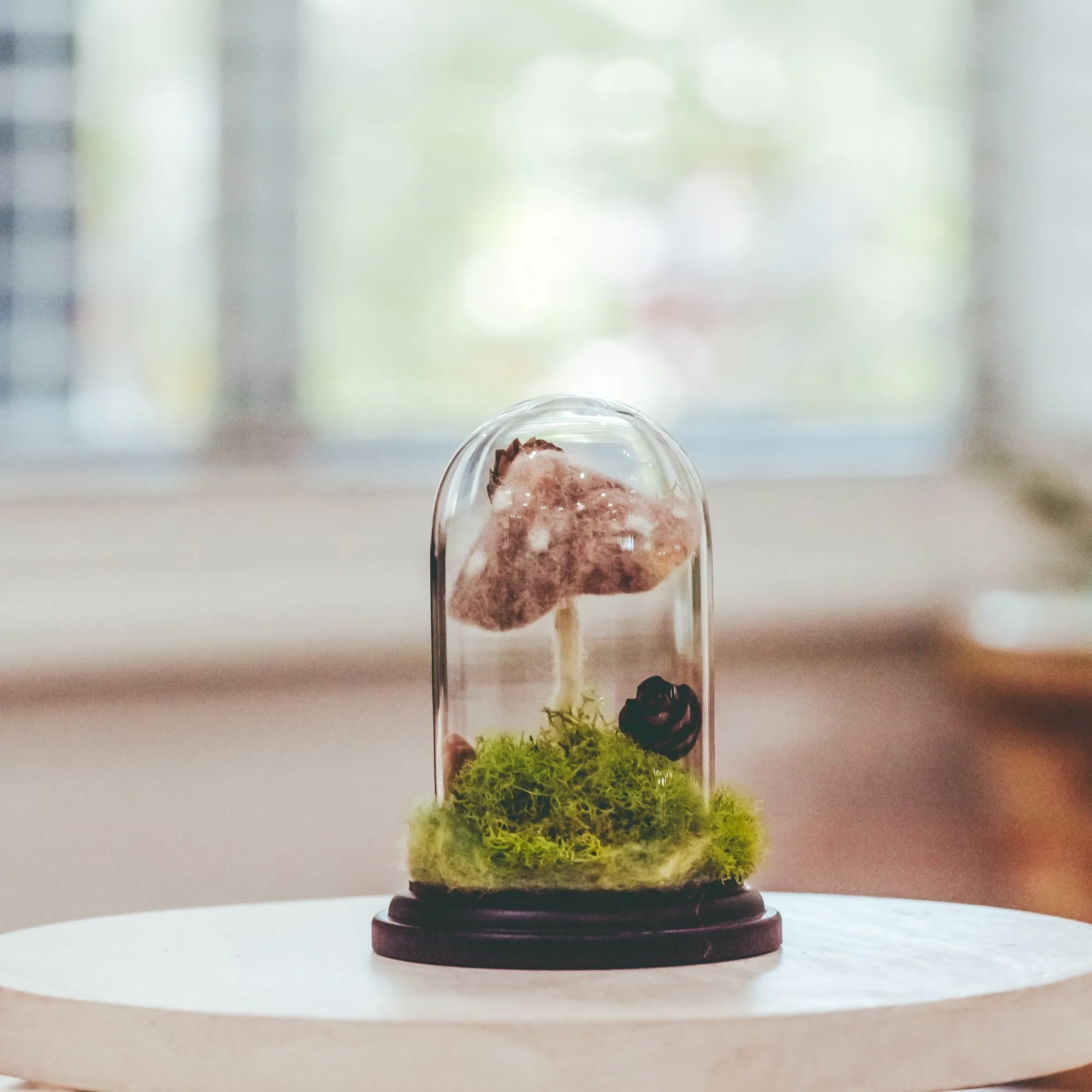 Forest Floor Terrarium Cloche