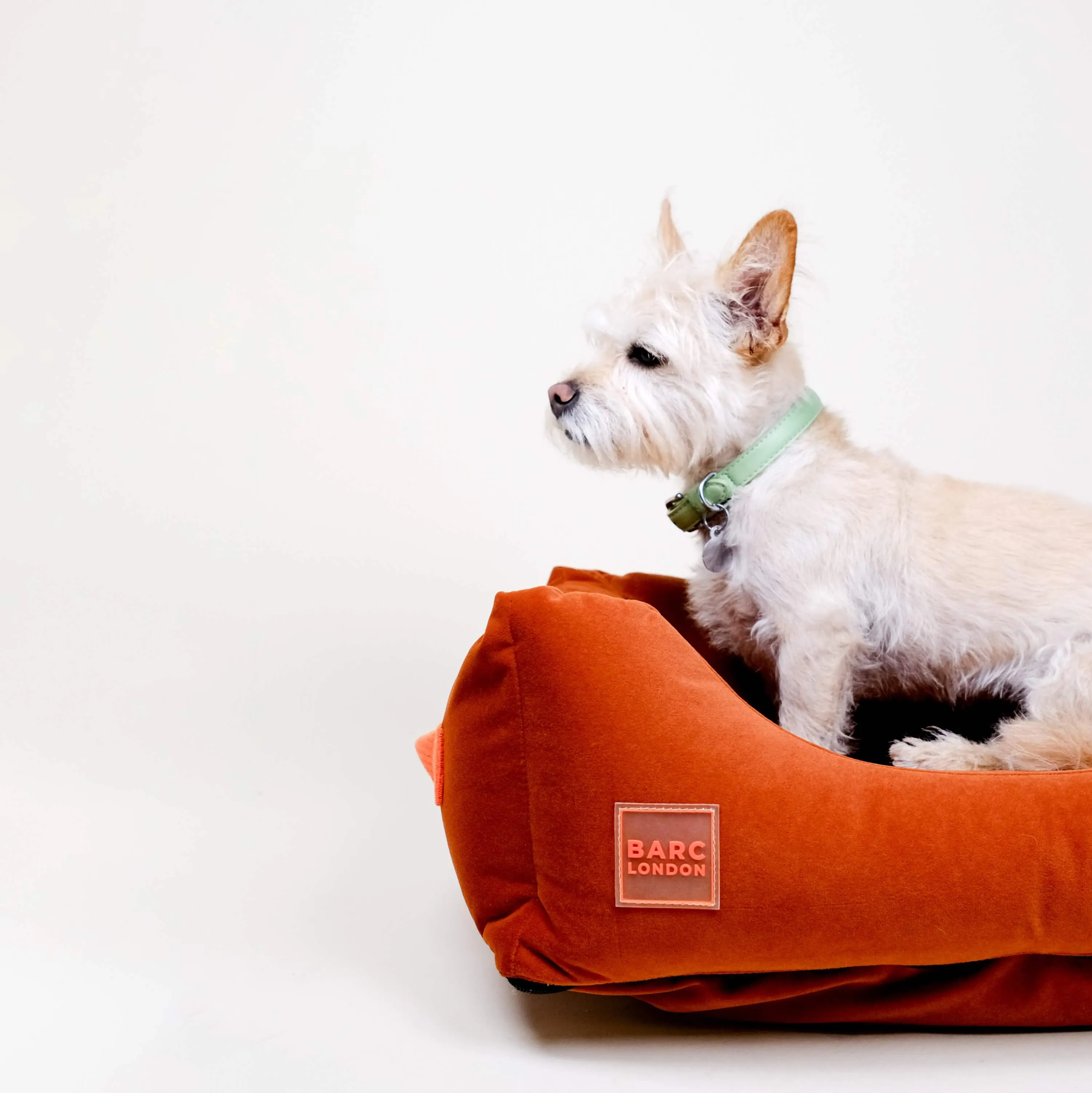Forest Green Premium Everyday Bed