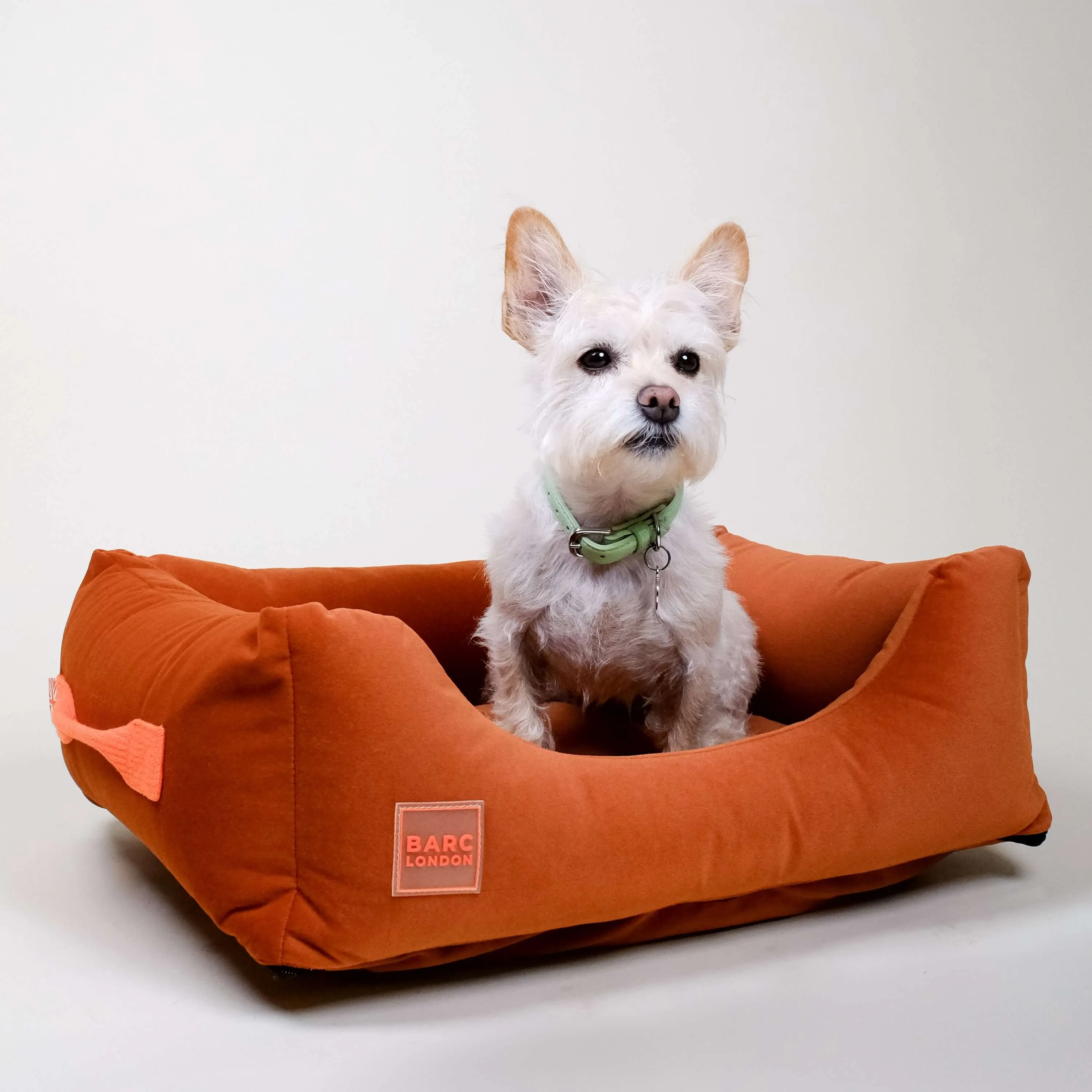Forest Green Premium Everyday Bed