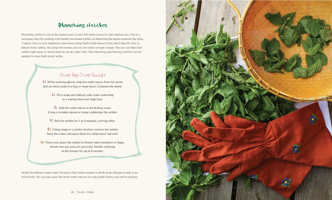 Forest   Home: Cultivating an Herbal Kitchen