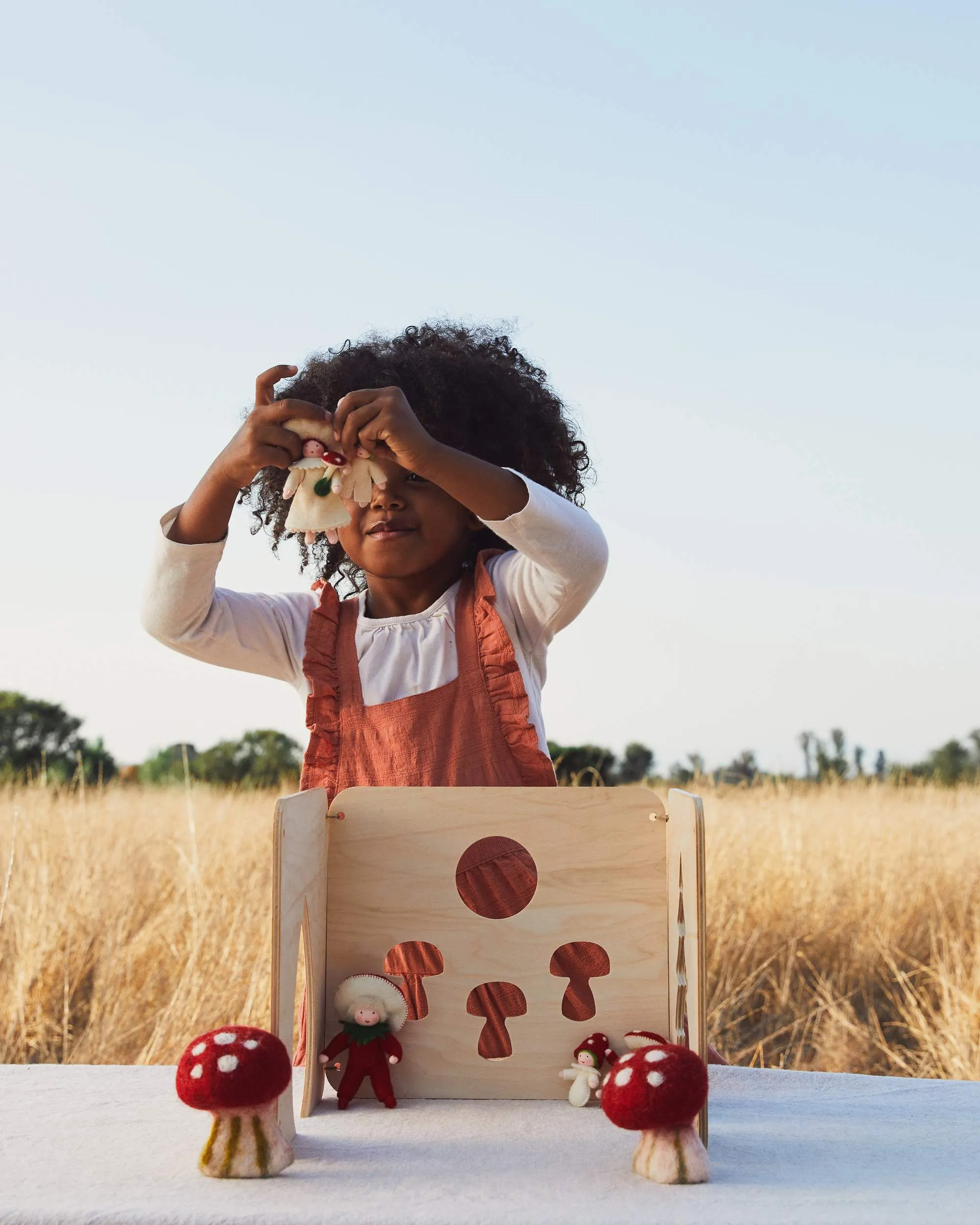 Forest Play House