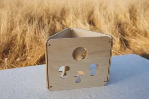 Forest Play House