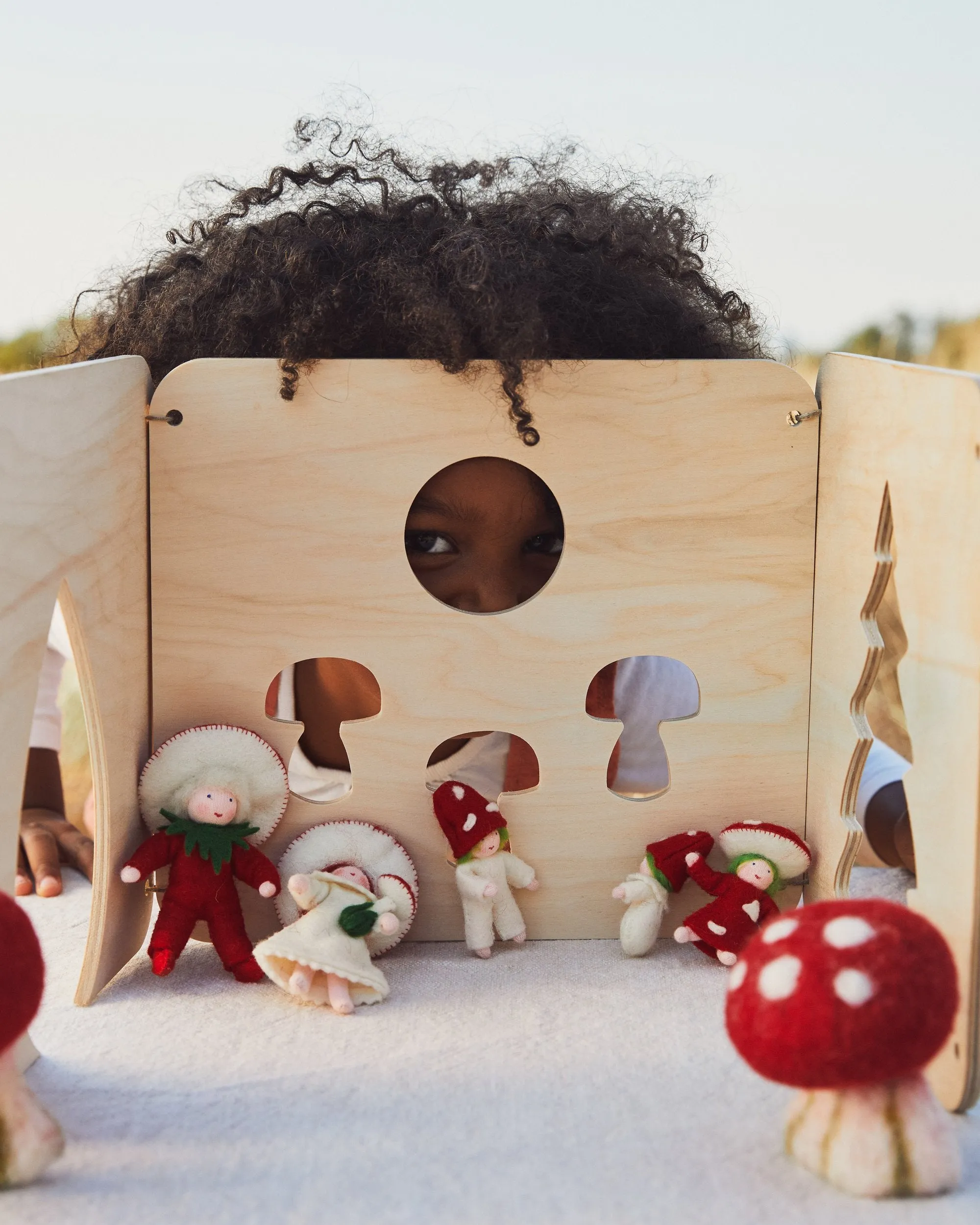 Forest Play House