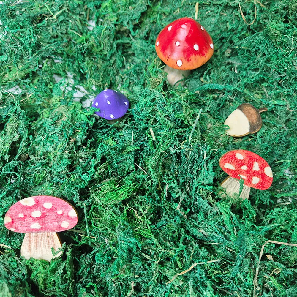 Forest School - Crafting Kit