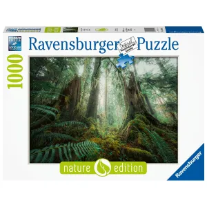 In the Forest 1000PC