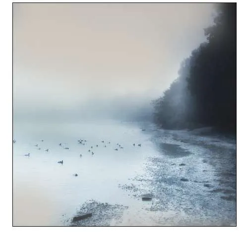 Indigo Moody Shore