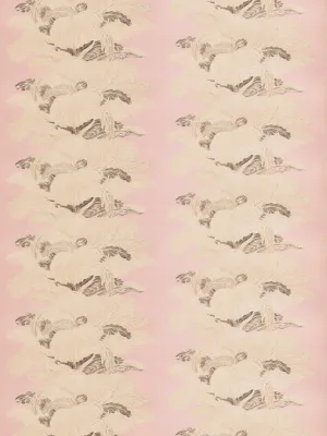 Les plumes chintz - Belle's nose