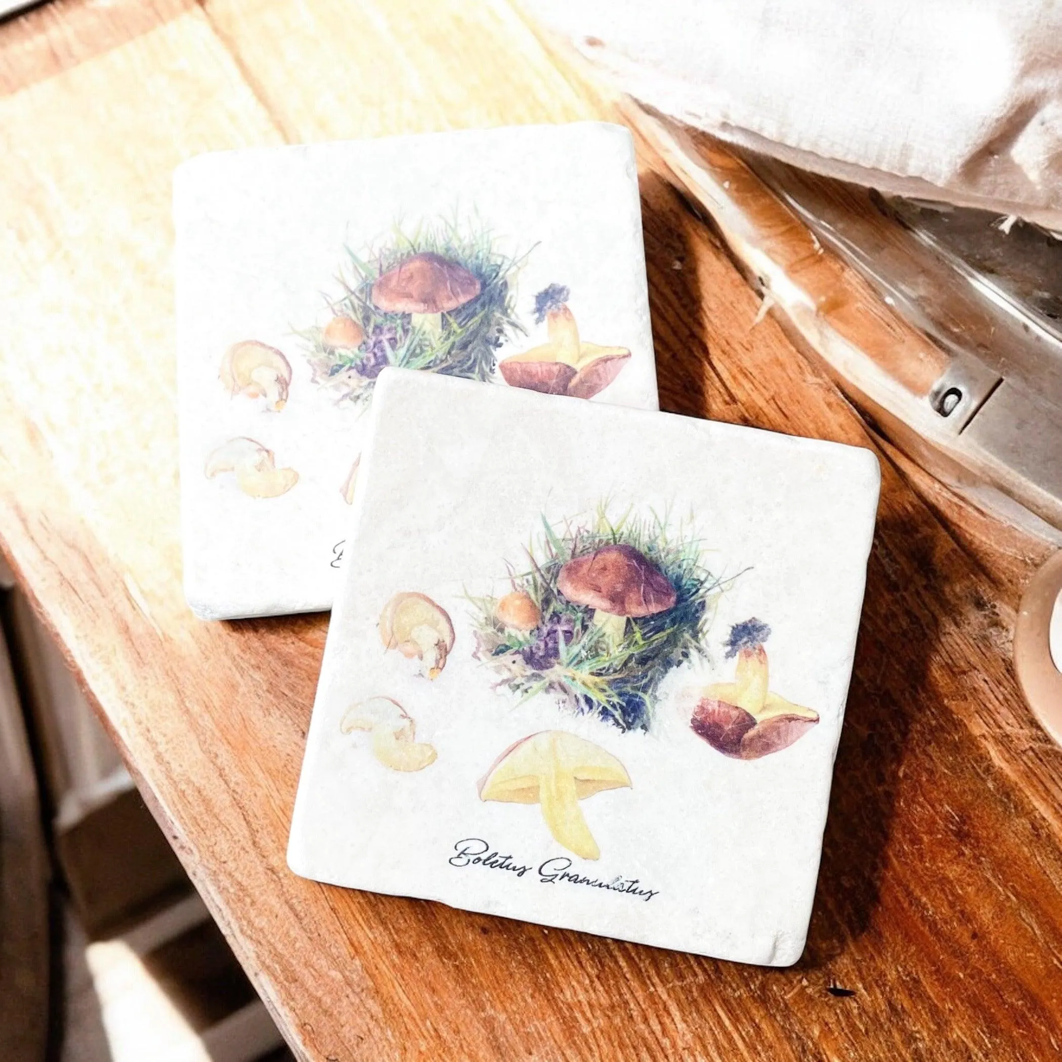 Limestone Mushroom Coasters