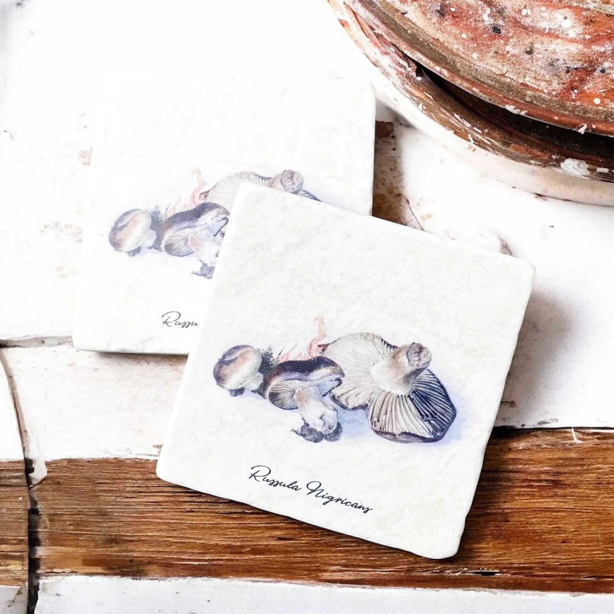 Limestone Mushroom Coasters