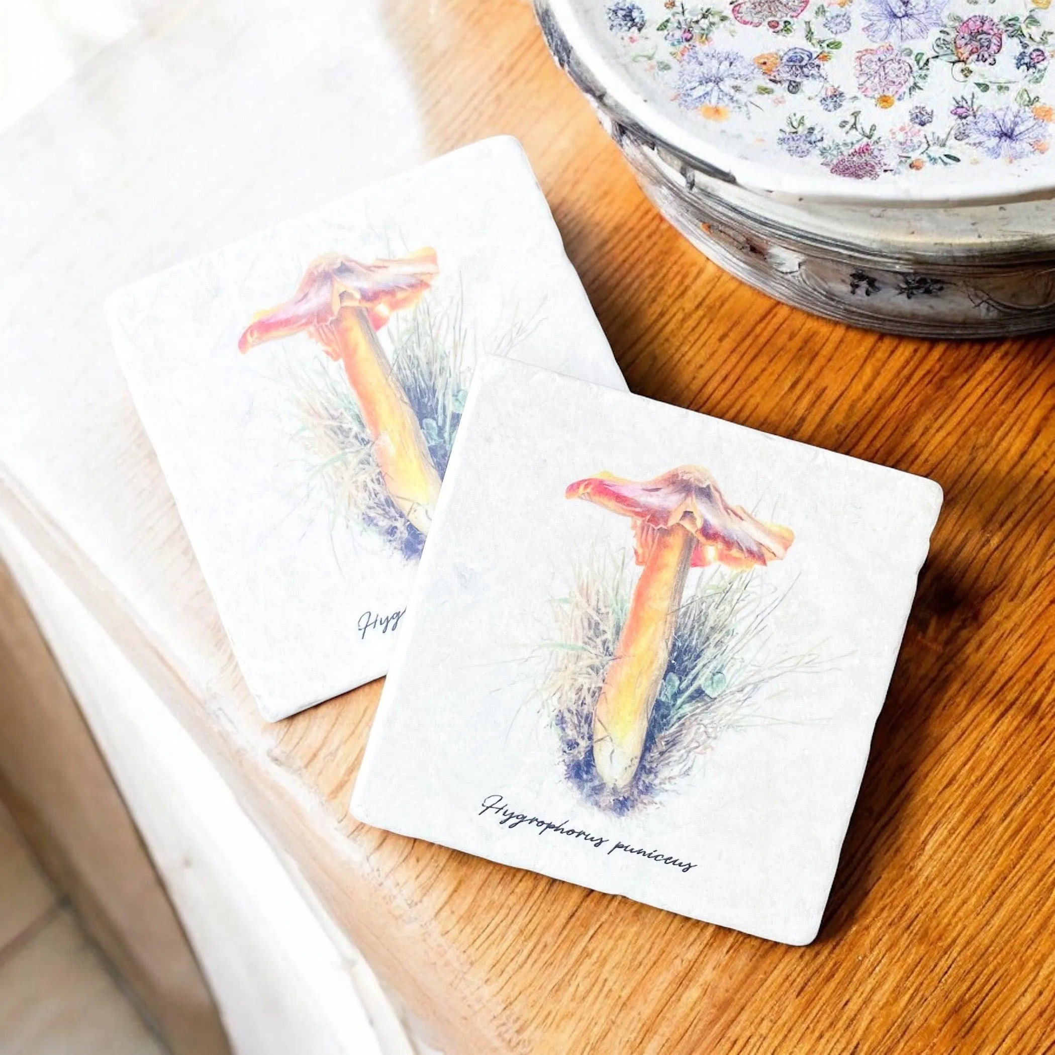 Limestone Mushroom Coasters