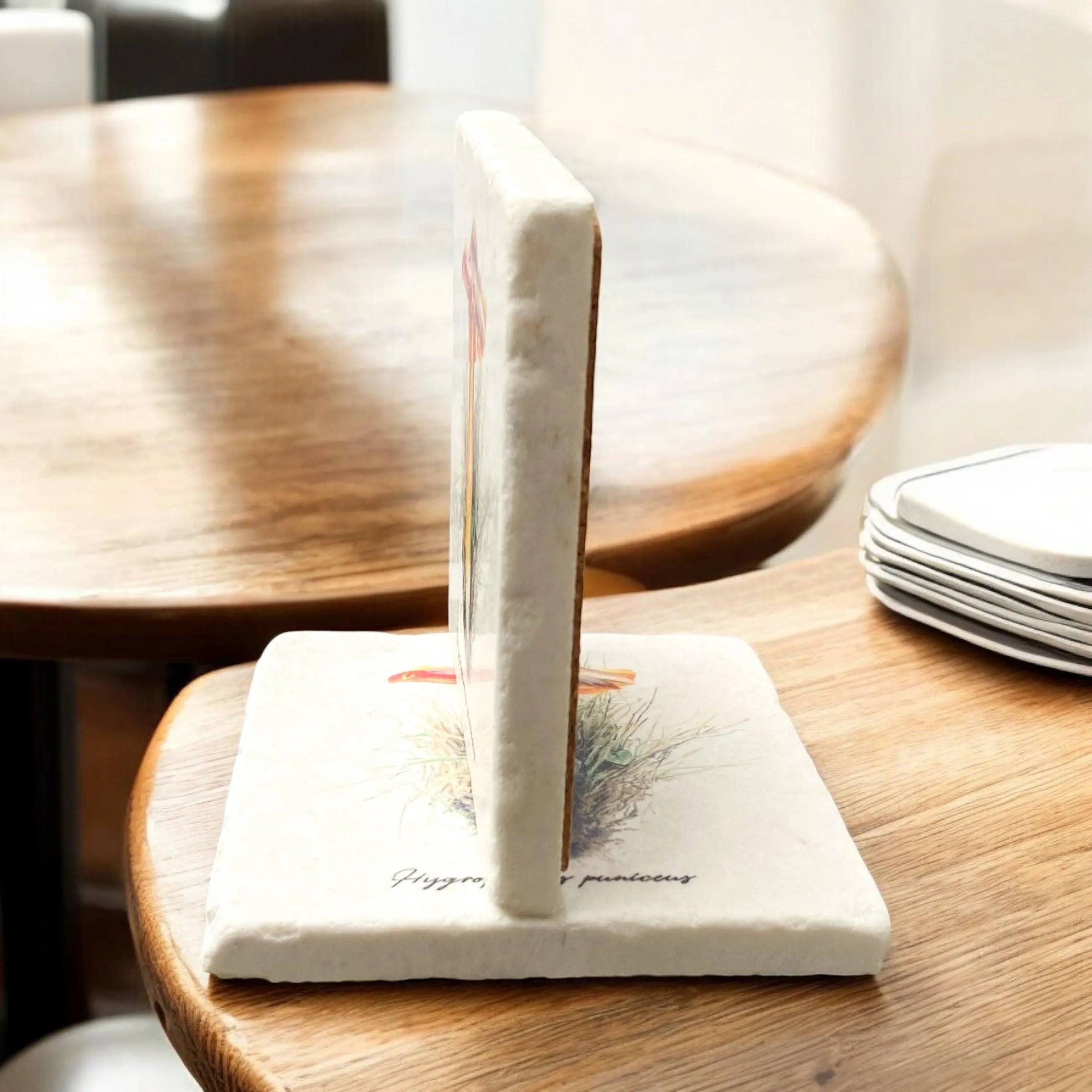 Limestone Mushroom Coasters