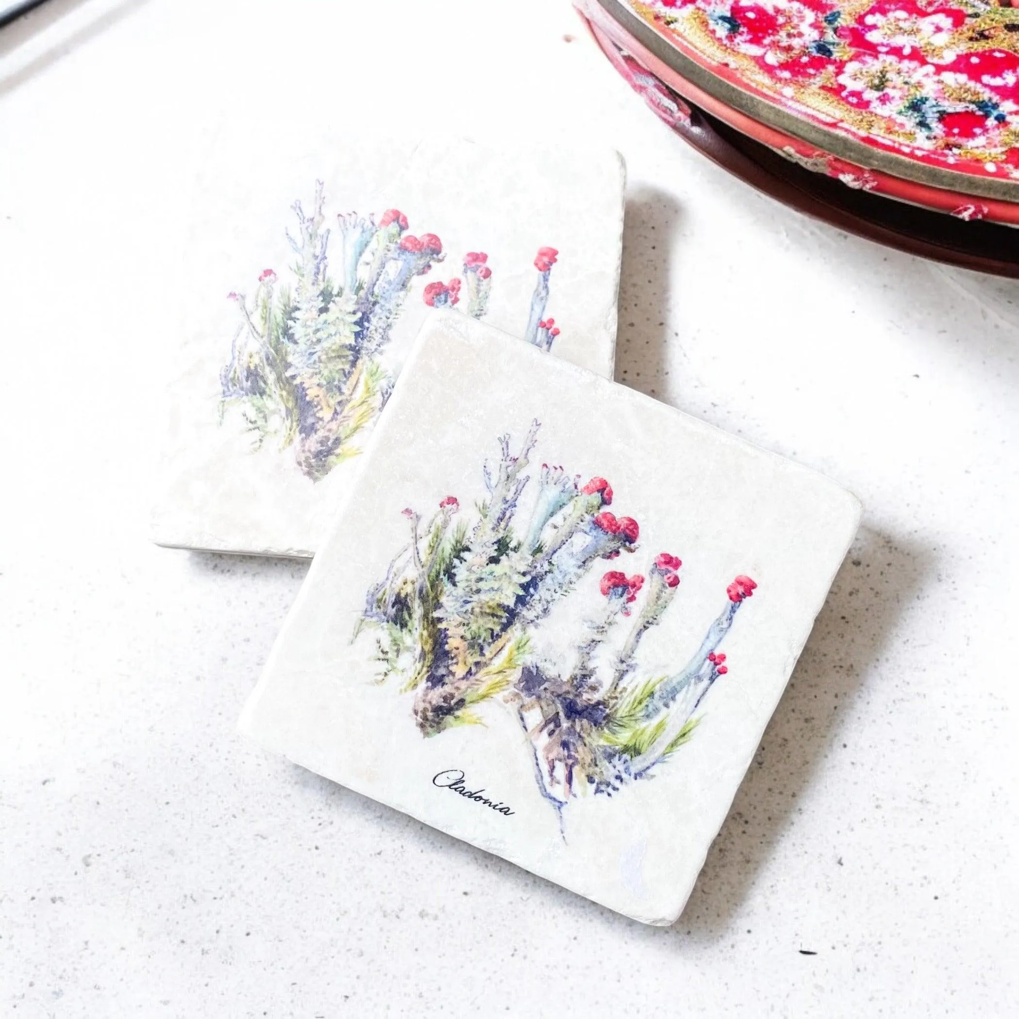 Limestone Mushroom Coasters
