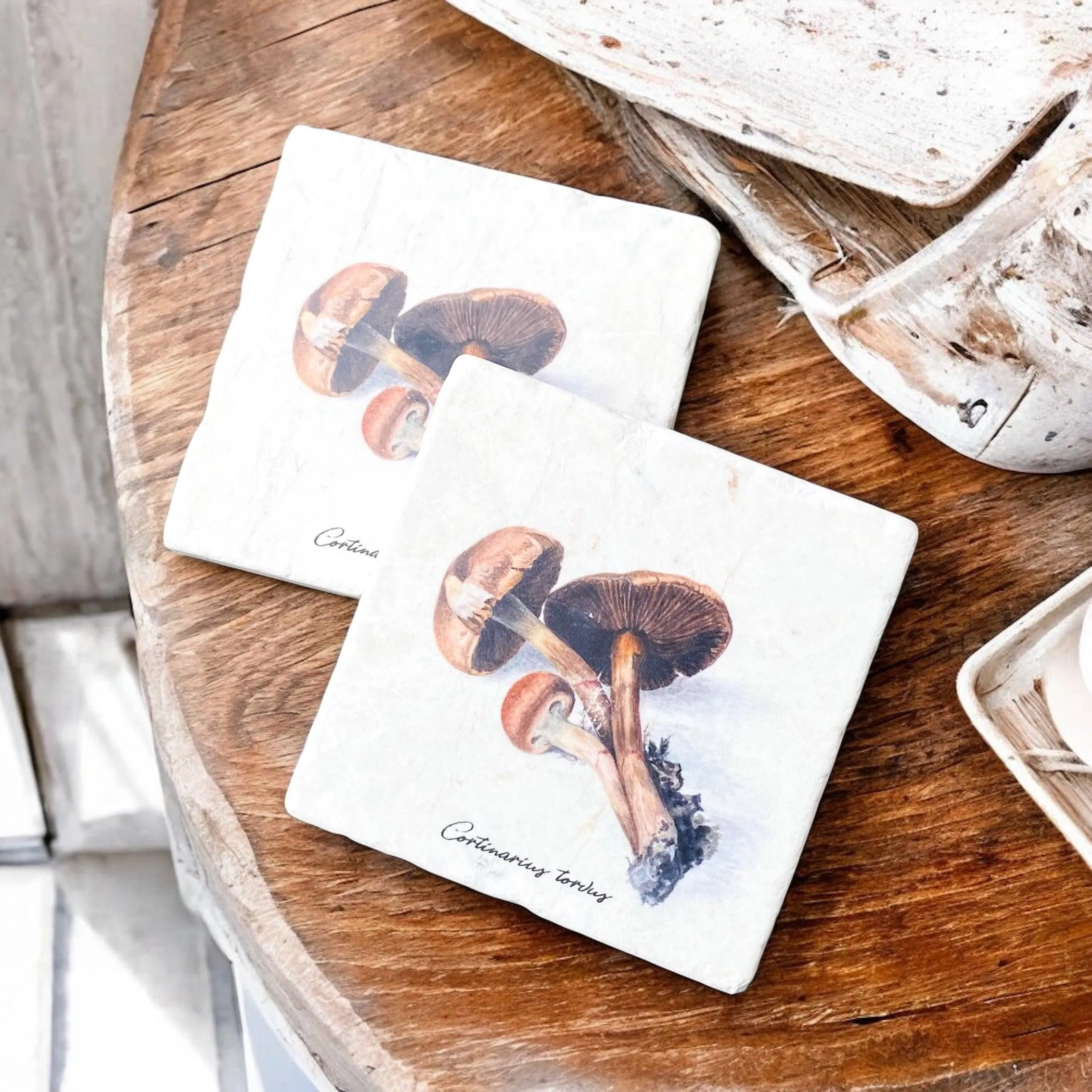 Limestone Mushroom Coasters
