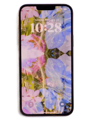Mirrored Meadow Blossoms